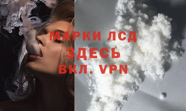 apvp Алзамай