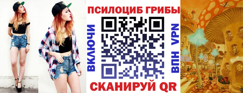 Псилоцибиновые грибы прущие грибы  ОМГ ОМГ рабочий сайт  Лесосибирск 