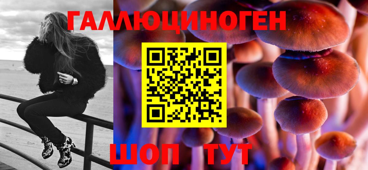 закладки  Галлюциногенные грибы Magic Shrooms  Вход с VPN  Лесосибирск 